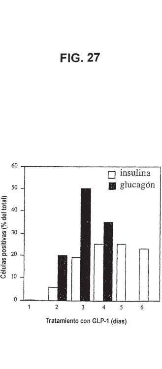 Ilustración 27 de la Galería de ilustraciones de Diferenciación de células no productoras de insulina en células productoras de insulina mediante GLP-1 o exendina-4 y utilizaciones de las mismas