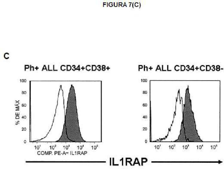 Ilustración 12 de la Galería de ilustraciones de Expresión de IL1RAP en células de leucemia mieloide aguda y crónica