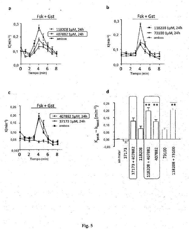 Ilustración 5 de la Galería de ilustraciones de Compuestos como moduladores de una proteína CFTR mutante y su uso para el tratamiento de enfermedades asociadas con el mal funcionamiento de la proteína CFTR