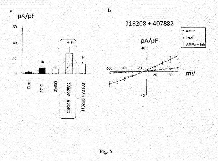 Ilustración 6 de la Galería de ilustraciones de Compuestos como moduladores de una proteína CFTR mutante y su uso para el tratamiento de enfermedades asociadas con el mal funcionamiento de la proteína CFTR