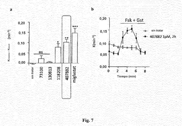 Ilustración 7 de la Galería de ilustraciones de Compuestos como moduladores de una proteína CFTR mutante y su uso para el tratamiento de enfermedades asociadas con el mal funcionamiento de la proteína CFTR
