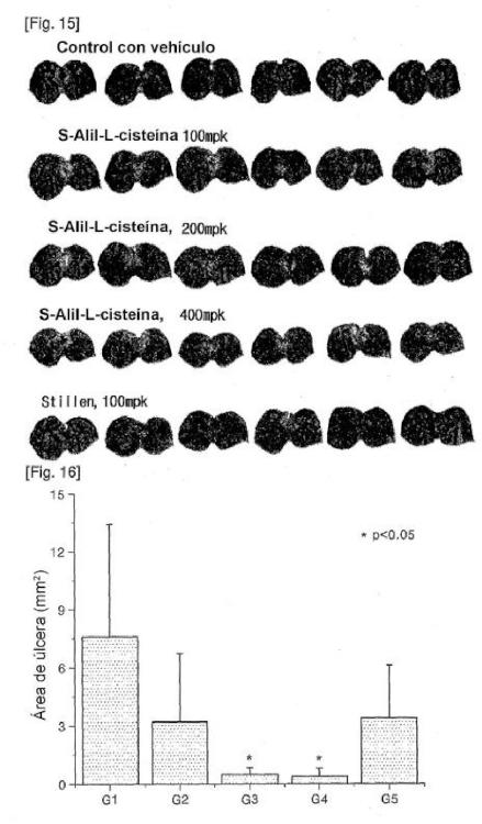 Ilustración 4 de la Galería de ilustraciones de Composición que comprende S-alil-L-cisteína como principio activo para prevenir o tratar lesiones de la mucosa gástrica inducidas por fármacos