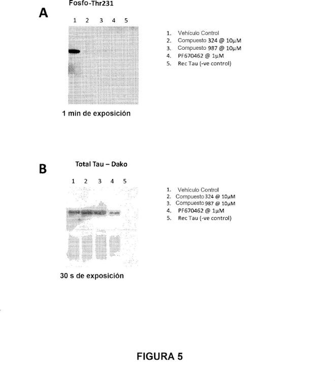 Ilustración 5 de la Galería de ilustraciones de Inhibidores de la caseína cinasa 1 delta (CK1delta)