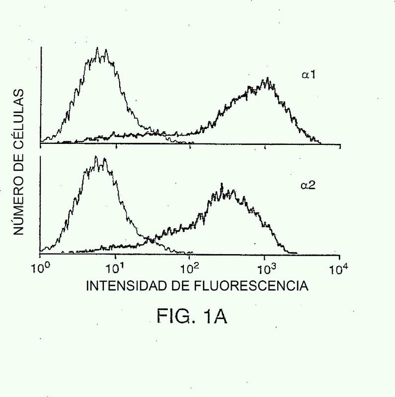 Un anticuerpo monoclonal bloqueante frente a VLA-1 y su uso para el tratamiento de trastornos inflamatorios.