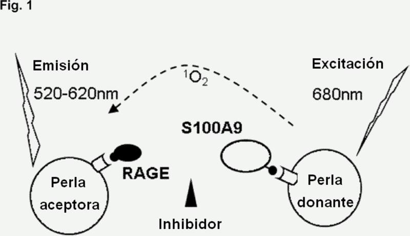 Derivados de N-(heteroaril)-sulfonamida útiles como inhibidores de S100.