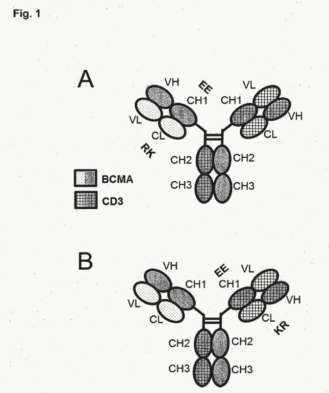 Anticuerpos biespecíficos contra CD3epsilon y BCMA.