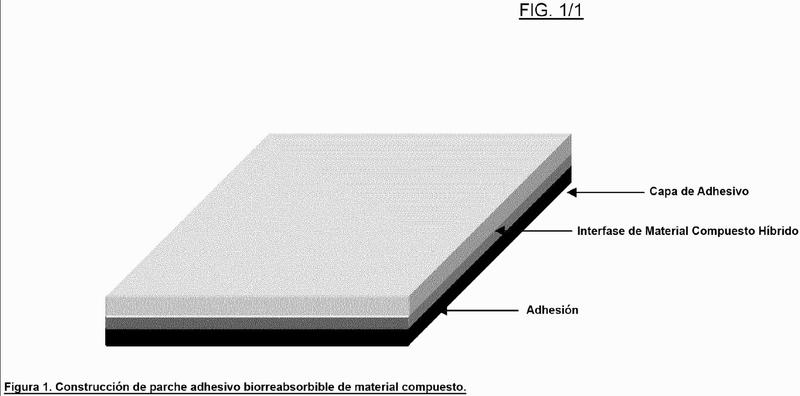 Composiciones biodegradables que soportan grupo hidrófilo colgante y dispositivos relacionados.