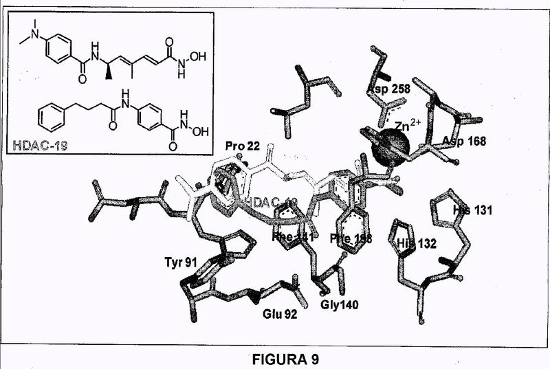 Ácidos grasos de cadena corta unidos a motivos quelantes de Zn2+ como una clase novedosa de inhibidores de histona deacetilasa.