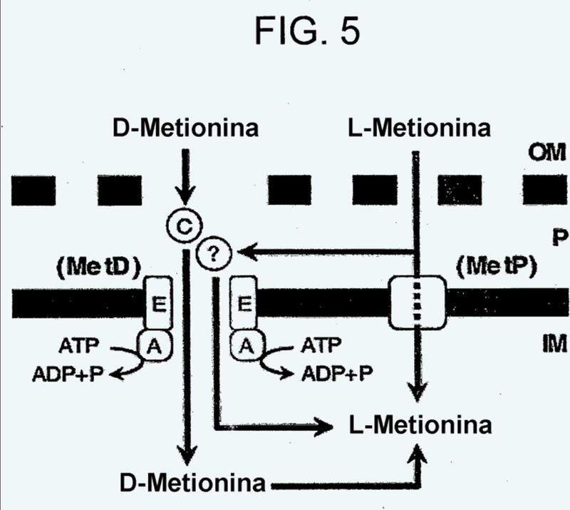 Composiciones y métodos de producción de metionina.