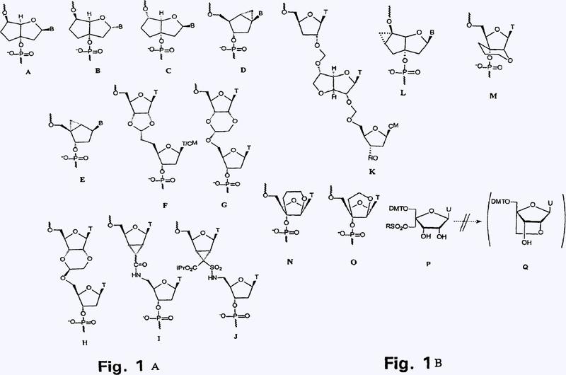 Análogos de nucleósidos bicíclicos y tricíclicos, nucleótidos y oligonucleótidos.