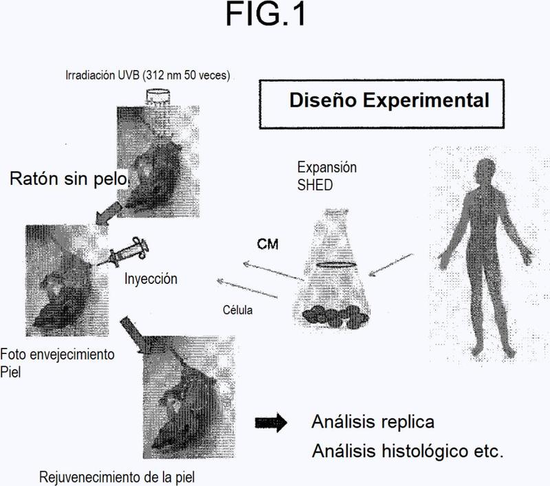 Composición para el tratamiento de una parte dañada.