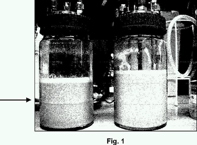 Procedimiento para la separación mejorada de una disolución hidrófoba orgánica de un medio de cultivo acuoso.