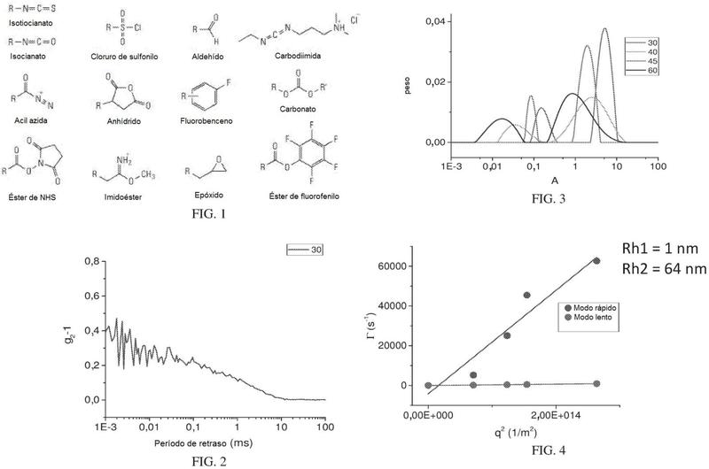Moléculas difuncionales que contienen PEG para su uso en la inhibición de cataratas y presbicia.