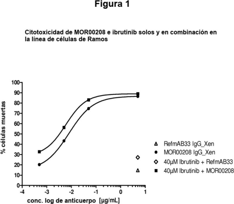 Combinación de un anticuerpo anti-cd19 y un inhibidor de la tirosina quinasa de Bruton y usos de la misma.