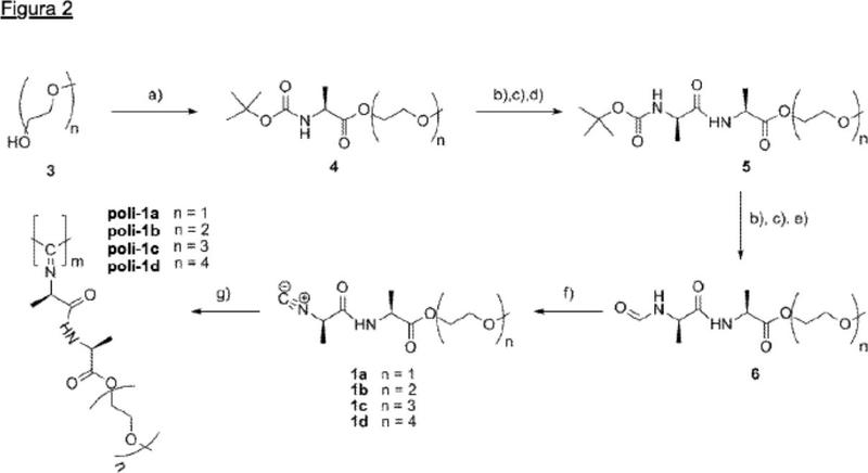 Procedimiento de preparación de poliisocianopéptidos funcionalizados con oligo(alquilenglicol) de alto peso molecular.