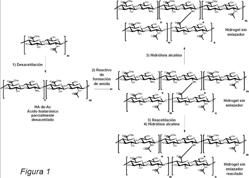 Método de desacetilación de biopolímeros.