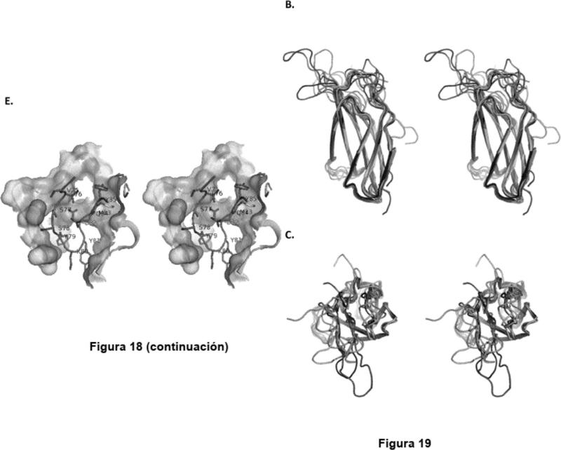 Proteínas de dominio de fibronectina tipo III con solubilidad mejorada.