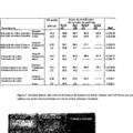 Imagen de 'CONSERVANTE PARA MADERA PARTICULADO Y PROCEDIMIENTO PARA SU PRODUCCION'