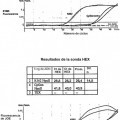 Ilustración 4 de AMPLIFICACIÓN DE FRAGMENTOS DE ADN.