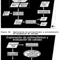 Ilustración 4 de ESTRATEGIAS PARA LA IDENTIFICACIÓN Y DETECCIÓN DE ALTO RENDIMIENTO DE POLIMORFISMOS.