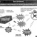 Ilustración 4 de IL-22 PARA PREVENIR ENFERMEDADES INFECCIOSAS