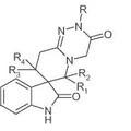Imagen de 'Derivados de espiroindolinona como inhibidores de MDM2-p53'