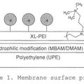 Imagen de 'Medios para cromatografía de intercambio iónico sobre membrana'