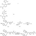 Imagen de 'Método para la preparación de isoxazolin-3-il-acilbencenos'