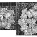 Imagen de 'Copolímeros de etileno-propileno adecuados para la modificación…'