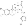 Imagen de 'Derivados de estratrieno y sus usos como inhibidores de la 17-beta-hidroxiesteroide-deshidrogenasa'