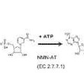 Imagen de 'Síntesis enzimática de carba-NAD'