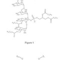 Imagen de 'Análogos sintéticos manósidos fosfatidil-mio-inositol con actividad…'