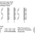 Imagen de 'Películas de polipéptidos y métodos'