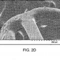 Ilustración 4 de Mezclas de polímeros para una matriz de stent que suministra fármaco con una estabilidad térmica mejorada.