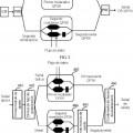 Ilustración 2 de Método y dispositivo para generar una señal