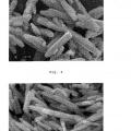 Ilustración 3 de Partículas columnares de óxido de cinc y método para producción de las mismas
