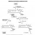 Ilustración 6 de Derivados de nistatina y su uso como agentes antifúngicos