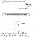 Ilustración 8 de Derivados de nistatina y su uso como agentes antifúngicos