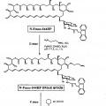 Ilustración 9 de Derivados de nistatina y su uso como agentes antifúngicos