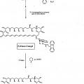 Ilustración 10 de Derivados de nistatina y su uso como agentes antifúngicos