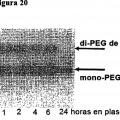 Ilustración 11 de Procedimiento y composiciones para detectar específicamente moléculas poliméricas fisiológicamente aceptables
