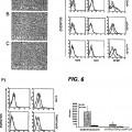 Ilustración 2 de Método de producción de proteína TRAIL antitumoral.