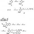 Ilustración 4 de Derivados del ácido 10,10-dialquil-prostanoico como agentes para disminuir la presión intraocular.