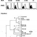 Ilustración 3 de Variantes múltiples de proteína NMB 1870 de meningococo
