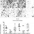 Ilustración 5 de Uso de epotilona D en el tratamiento de enfermedades asociadas a Tau incluyendo enfermedad de Alzheimer