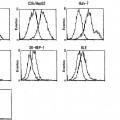 Ilustración 3 de Anticuerpo anti-DLK-1 humana que muestra la actividad antitumoral in vivo