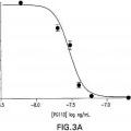 Ilustración 4 de Anticuerpos contra el factor de crecimiento nervioso (NGF) con estabilidad in vivo mejorada.