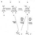 Ilustración 1 de Inhibidores heterocíclicos de MEK y métodos de uso de los mismos.