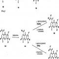 Ilustración 5 de Inhibidores heterocíclicos de MEK y métodos de uso de los mismos