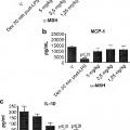 Ilustración 2 de Análogos peptídicos de la hormona estimulante de alfa-melanocitos.